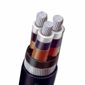 HT Cable Supplier in Kolkata & Eastern India Regions